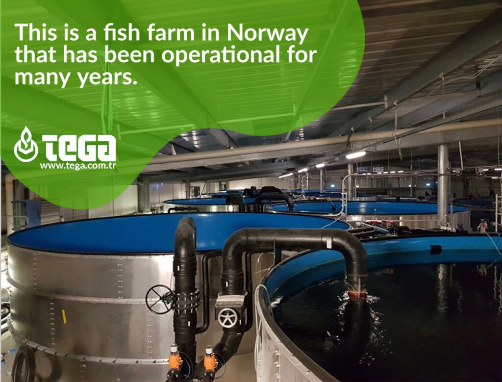 fish-farm-controlled-tega-products