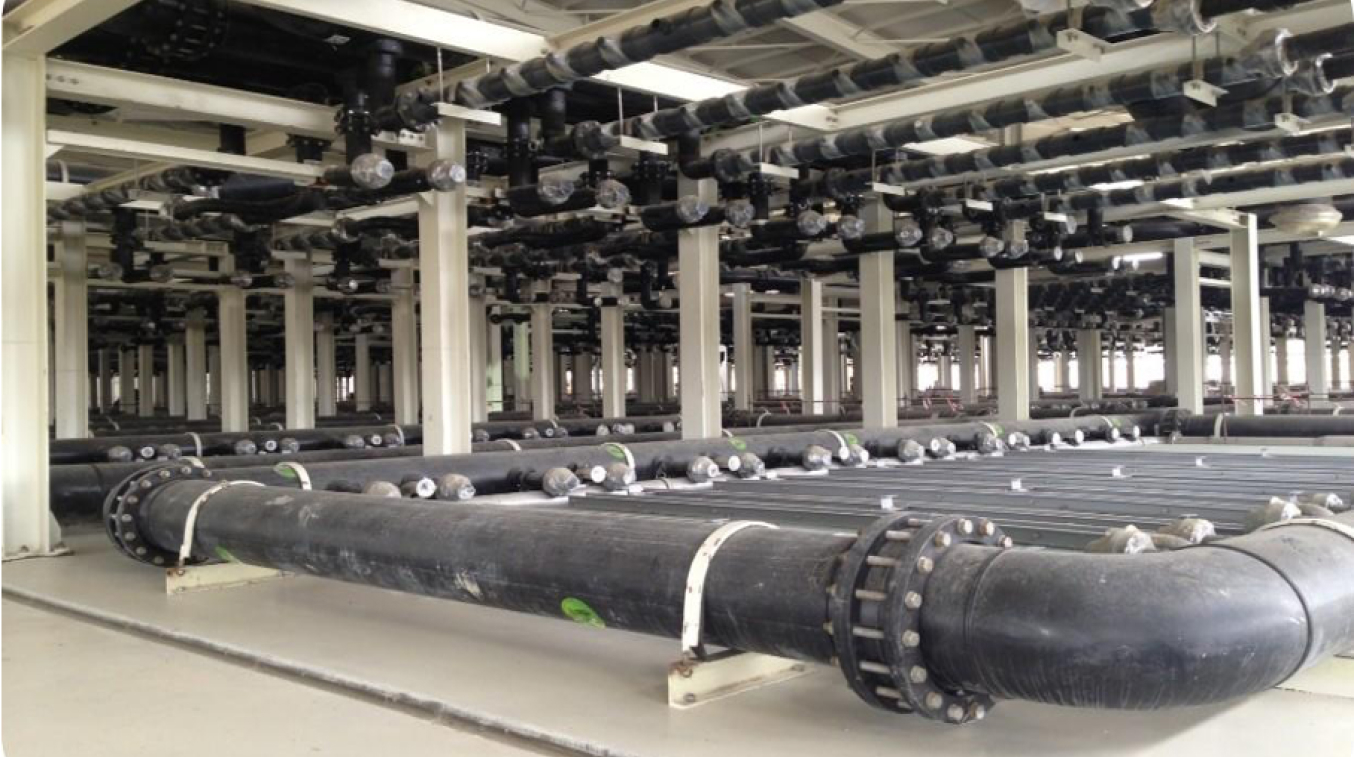 Tega | Azerbaycan Ceyranbatan Semer Projesi